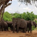 오대양육대주 이미지