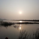 흥왕낚시터 이미지