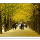 창원고속관광(주) 이미지