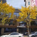스타벅스커피 부민사거리점 이미지