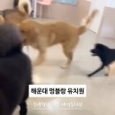 멍블랑 유치원 이미지