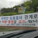 야척 이미지