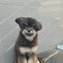 나무쉼터 동물병원 이미지