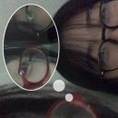 다원힐독채펜션 이미지