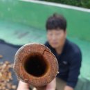 범왕골상회