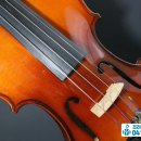 바이올린 1:1 레슨 이미지