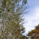 출판도시길 이미지