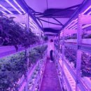 용수농장 이미지