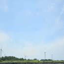 목포하나로약국 | 20대의 제주 게스트하우스 스탭 체험기 (비용, 현실, 꿀팁 총정리)