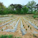 (주)헤븐스카이 이미지