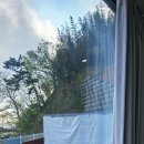 볼 때리는 집 이미지