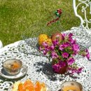 나나밸리 이미지