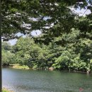 드림마트 금곡점 | 대구 근교 취사 가능한 물놀이 스팟!!밀양 [물철철평상] 평상 후기