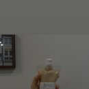 룩스라이스