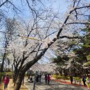 고령축산도매센타