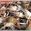 태양수산활어회 이미지