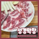 성경막창 이미지