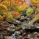 태백경찰서 소도파출소 이미지