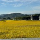 곤트란쉐리에 울미숲점 | [포천] 반려견과 브런치 즐기기 좋은 힐링카페 “곤트란쉐리에 울미숲점”
