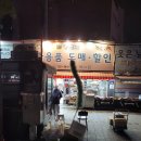 애완용품도매·할인