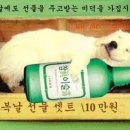 꾸질