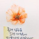 나만의 손글씨 수채캘리 이미지