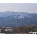 대관령가는길 이미지