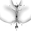 서울성모항정유외과의원 이미지