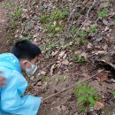 이루숲어린이집 이미지