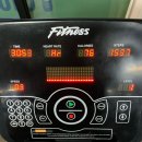 피지컬 055 GYM 이미지