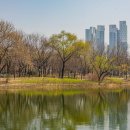서울숲 Daum카페