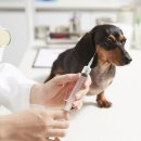 우리덕구 동물병원 이미지