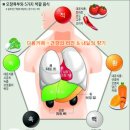 오행생활건강 티스토리
