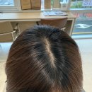 리보네흐 | 범어동미용실 추천 리보네흐헤어 대구범어점 뿌리염색 후기