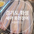 맛나국집 | 오산 장어, 병점 장어 맛집 세마 풍천장어
