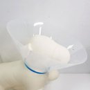 펫 다옴 이미지