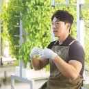 농업회사법인 ㈜그린 이미지