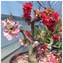 신동농장 이미지