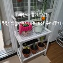 홈가드닝 플랜테리어(오창) | 쿠팡 식물선반 구매 후기 및 추천 [베란다 홈가드닝]