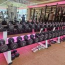 가온 휘트니스 이미지