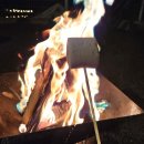 나무그늘 밑의 휴식 | 대구근교 고령 캠핑장 청솔글램핑 그늘 수영장 있는 키즈 클램핑