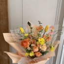 블랑-메이 이미지