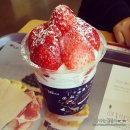 요거프레소 네이버블로그
