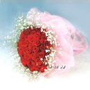 (유)정향 이미지