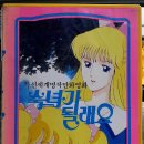 대영비디오사진
