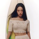 바쉬 이미지