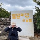 다미아일품(주) - 22481 | 제주 애월 카페 갔다가 갑자기 이것까지 한다고?