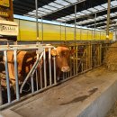 정수축사 이미지