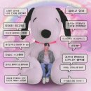 메이데이 Daum카페
