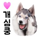 난이꾸꾸 애견미용실 이미지